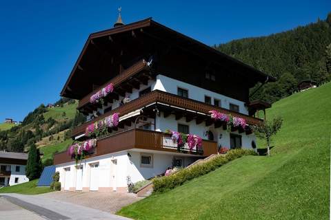 Bergliebe - Ferienunterkunft in Hollersbach im Pinzgau (4 Personen)