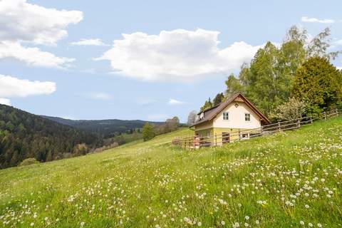 Schröllhütte - Ferienhaus in Sankt Andrä (6 Personen)