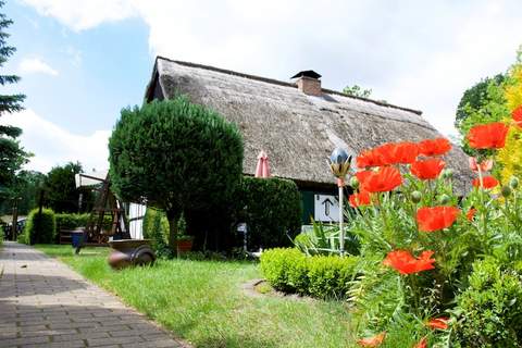 Ferienhaus - Ahlbeck am Haff / Nr 1 - Ferienhaus in Ahlbeck (5 Personen)