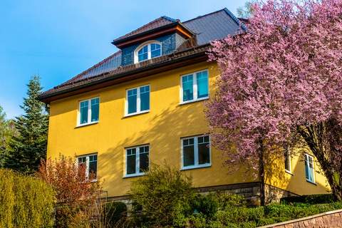 Ferienwohnung Schönbrunn - Ferienunterkunft in Schönbrunn (4 Personen)