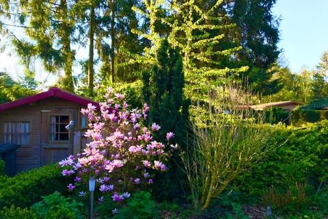 Chalet 'Bosanemoon' - Ferienunterkunft in Garderen (4 Personen)