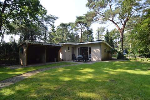 Het Zonnetje - Ferienhaus in Zelhem (4 Personen)