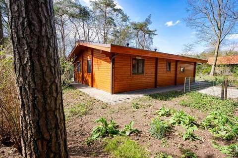 Finse Bungalow in Holten -  in Holten (4 Personen)