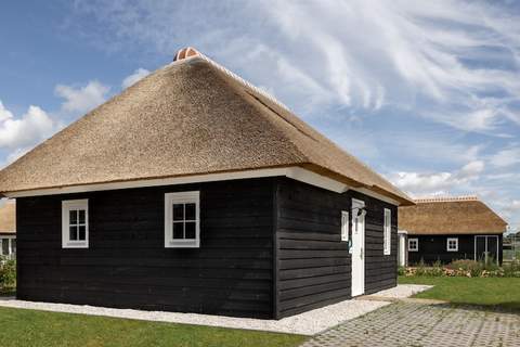 Vakantiepark De Heihorsten 2 - Ferienunterkunft in Someren (4 Personen)