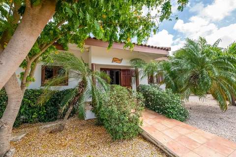 La Quinta Alida 8 pers Vista Royal - Ferienunterkunft in Jan Thiel (8 Personen)