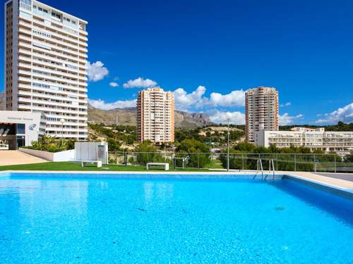 Ferienwohnung Terramar  in 
Benidorm (Spanien)