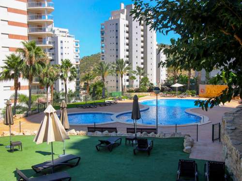 Ferienwohnung Torre Mestral  in 
Benidorm (Spanien)