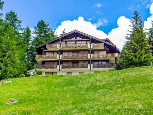 Ferienwohnung Sonnhalde B  in 
Zermatt (Schweiz)