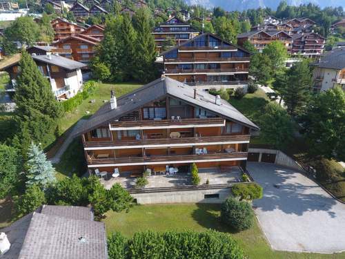 Ferienwohnung Centaure B RI 1  in 
Ovronnaz (Schweiz)