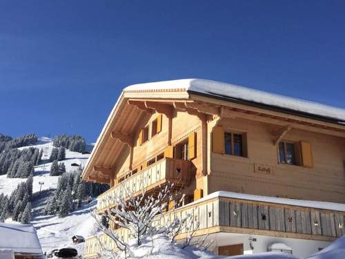 Ferienwohnung Butterfly  in 
Adelboden (Schweiz)