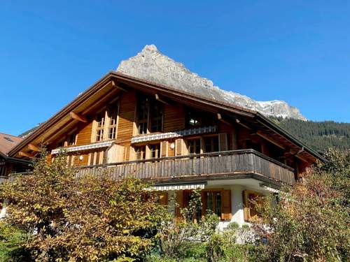 Ferienwohnung, Chalet Haus Lohnerblick  in 
Kandersteg (Schweiz)