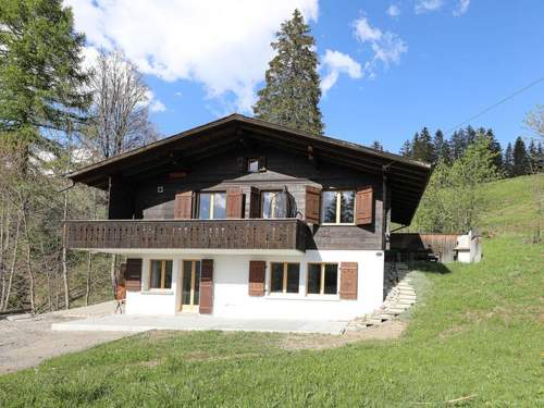 Ferienwohnung Möösli  in 
Lenk (Schweiz)