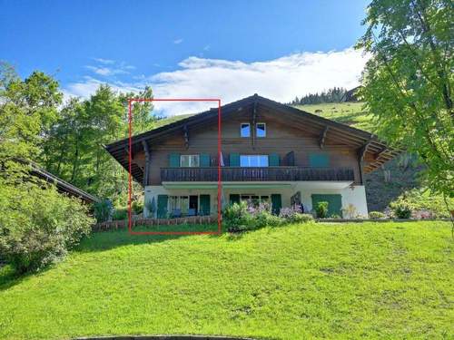 Ferienwohnung Chalet Flöschhorn