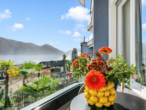 Ferienwohnung Double Room Modern  in 
Ascona (Schweiz)