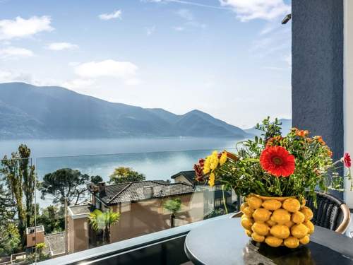 Ferienwohnung Double Room Modern  in 
Ascona (Schweiz)