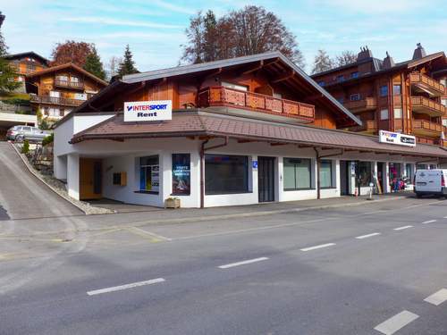 Ferienwohnung Les Savolaires 4  in 
Gryon (Schweiz)