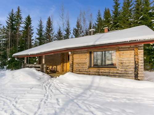 Ferienhaus Hevonkuusi  in 
Hankasalmi (Finnland)