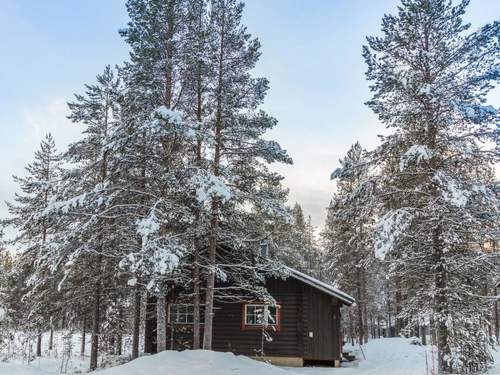 Ferienhaus Villa lempi  in 
kslompolo (Finnland)