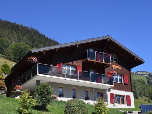 Ferienwohnung Matten EG Süd