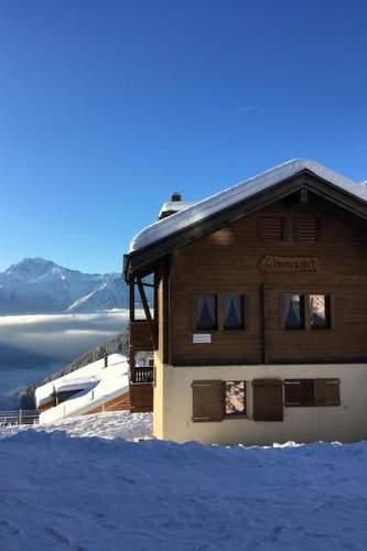 Ferienwohnung Almenrausch 1. OG Süd-Ost