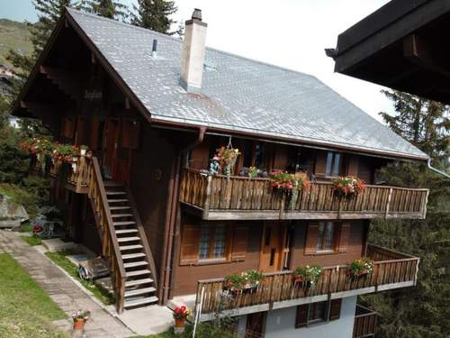 Ferienwohnung Bärgblüemli - Parterre  in 
Bettmeralp (Schweiz)