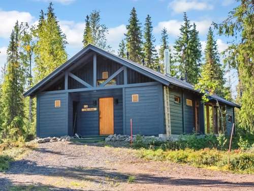 Ferienhaus Sinikuono  in 
Yllsjrvi (Finnland)