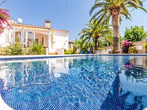 Ferienhaus D´Ibis