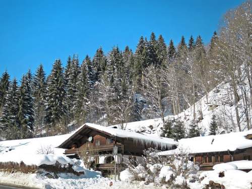 Ferienwohnung Eusch (SLB340)  in 
Saalbach-Hinterglemm (sterreich)