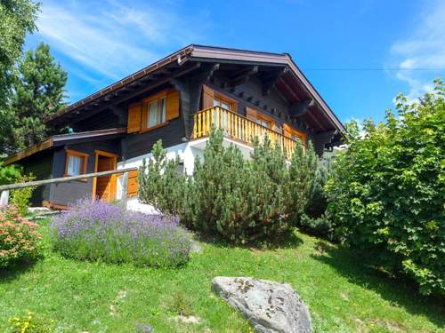 Ferienhaus, Chalet Biquinou  in 
Verbier (Schweiz)