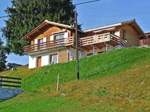 Ferienwohnung Ferienhaus Larix  in 
Pany (Schweiz)