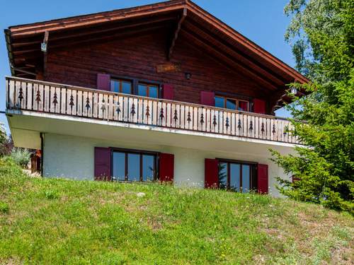 Ferienhaus, Chalet Le Hibou  in 
Nendaz (Schweiz)