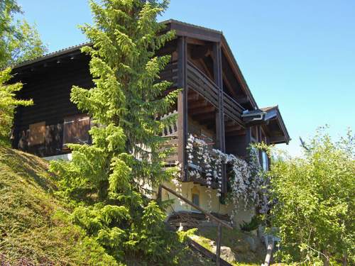 Ferienhaus, Chalet Valet de Coeur  in 
Nendaz (Schweiz)