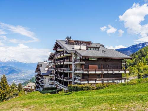 Ferienwohnung Hauts De Nendaz B OP