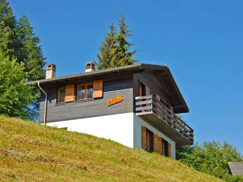 Ferienhaus, Chalet Hildegarde  in 
Nendaz (Schweiz)