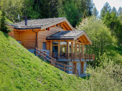 Ferienhaus, Chalet Chalet Arvine  in 
Nendaz (Schweiz)