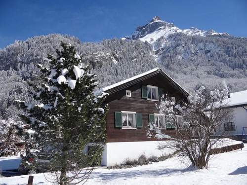 Ferienwohnung Chalet FluegÃ¤rtli