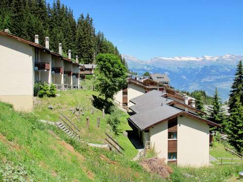 Ferienhaus, Chalet Edelweiss  in 
Thyon-Les Collons (Schweiz)