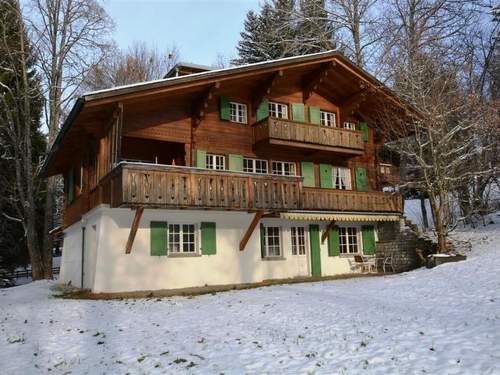 Ferienwohnung Les Erables, Chalet  in 
Gstaad (Schweiz)