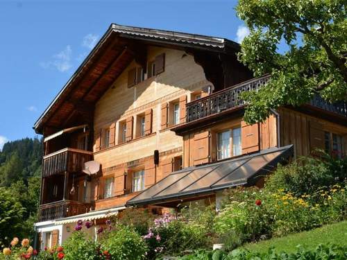 Ferienwohnung Meielblick  in 
Saanen (Schweiz)