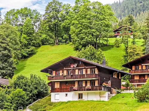 Ferienwohnung Chalet Blaugletscher