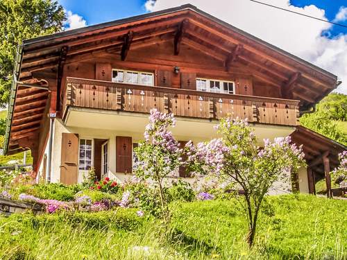 Ferienhaus Chalet Reinhysi