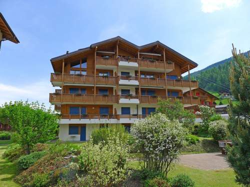 Ferienwohnung Appartement 13  in 
Grchen (Schweiz)