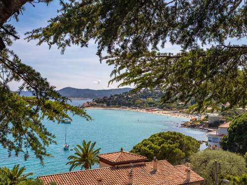 Ferienwohnung Les Floralies II  in 
Le Lavandou (Frankreich)