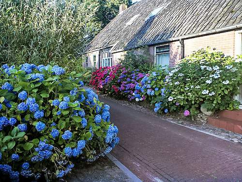 Ferienhaus, Landhaus Onder De Eiken  in 
Diever (Niederlande)