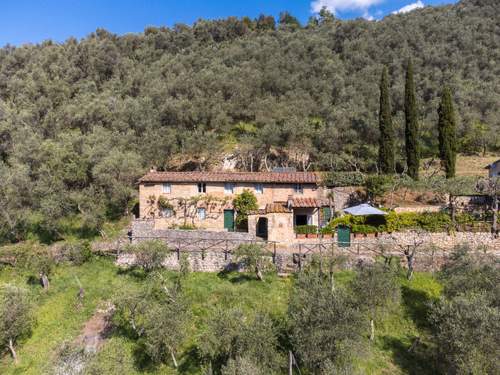 Ferienhaus Il Metatino  in 
Camaiore (Italien)