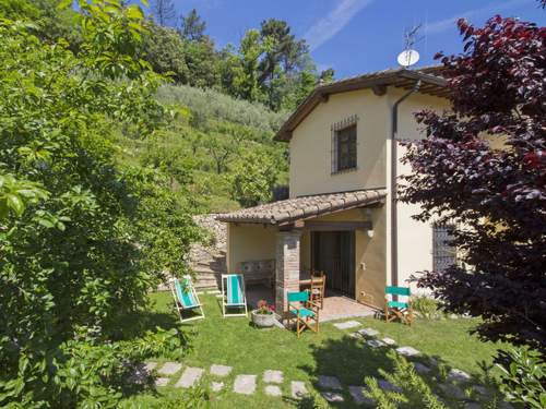 Ferienhaus, Villa Il Girasole  in 
Camaiore (Italien)
