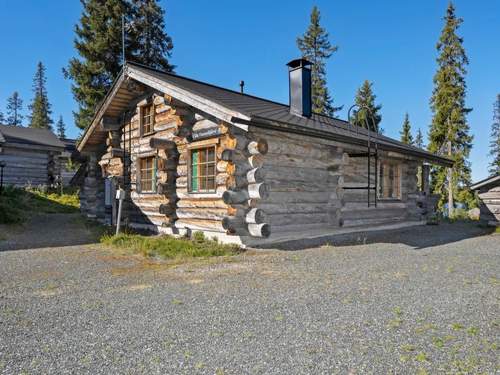 Ferienhaus Villa vuosselinjärvi  in 
Kuusamo (Finnland)