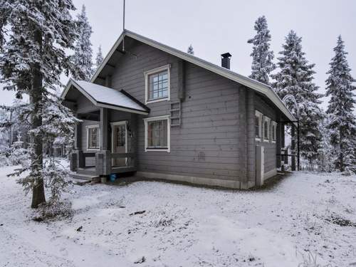Ferienhaus Ihtingin koskikara