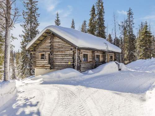 Ferienhaus Muuttohaukka