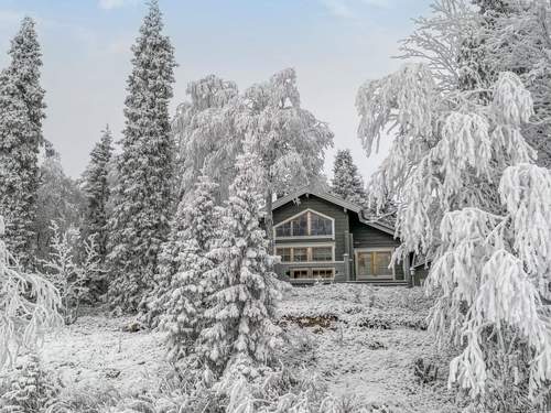 Ferienhaus Rukaniemen kontio